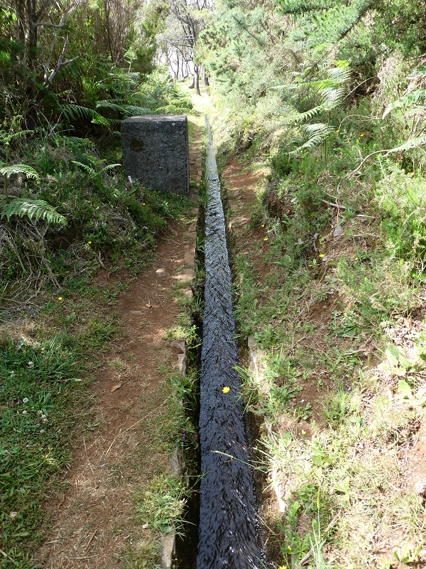 Levada do Blandy — Do pequeno reservatório à estrada do Areeiro — foto 12