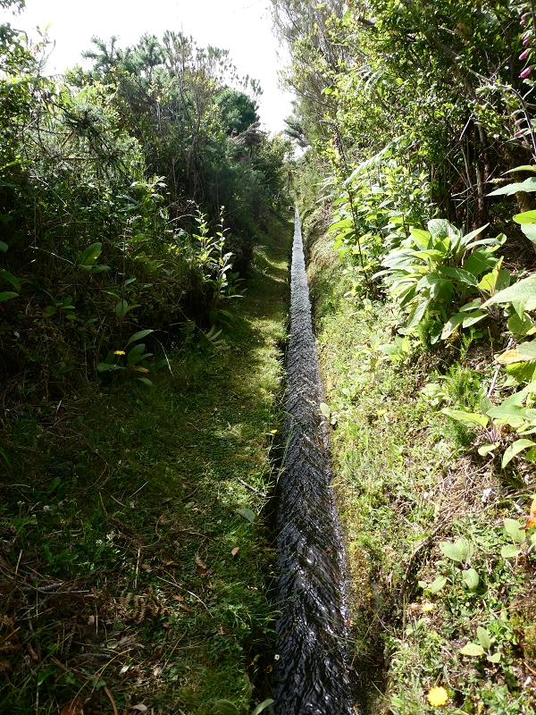 Levada do Blandy — Do pequeno reservatório à estrada do Areeiro — foto 13