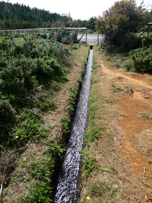 Levada do Blandy — Do pequeno reservatório à estrada do Areeiro — foto 14