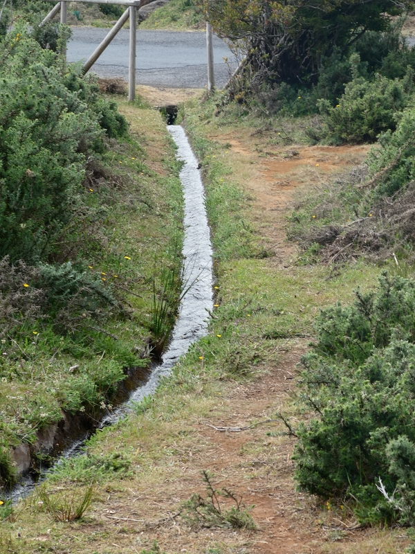 Levada do Blandy — Do pequeno reservatório à estrada do Areeiro — foto 15