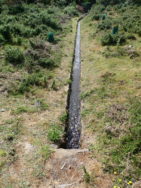 Levada do Blandy — Do pequeno reservatório à estrada do Areeiro — foto 17