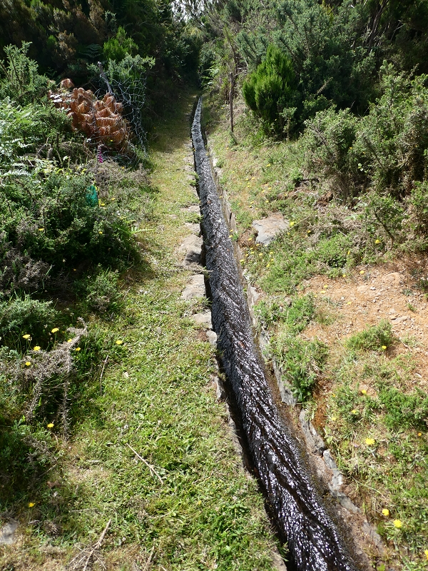 Levada do Blandy — Do pequeno reservatório à estrada do Areeiro — foto 18