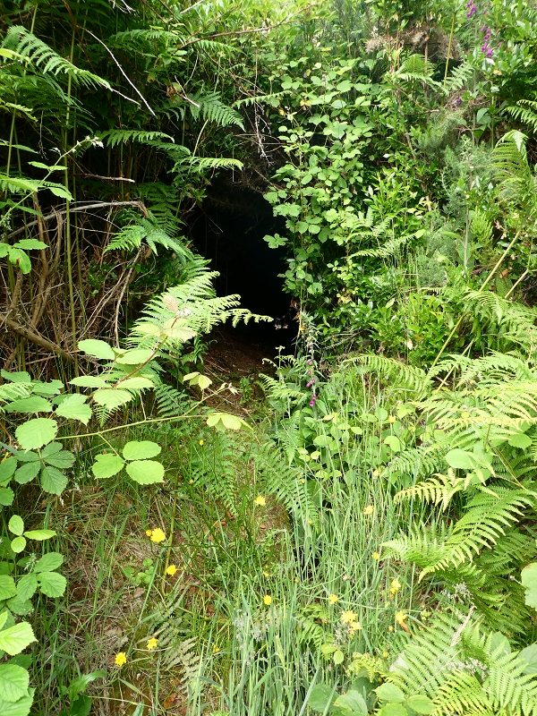 Levada do Blandy — O pequeno túnel sem saída — foto 1