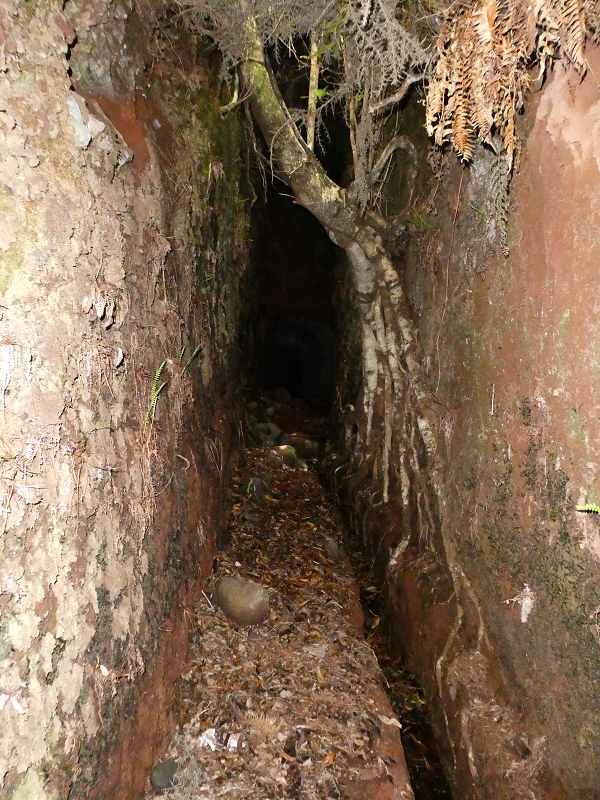 Levada do Blandy — O pequeno túnel sem saída — foto 2