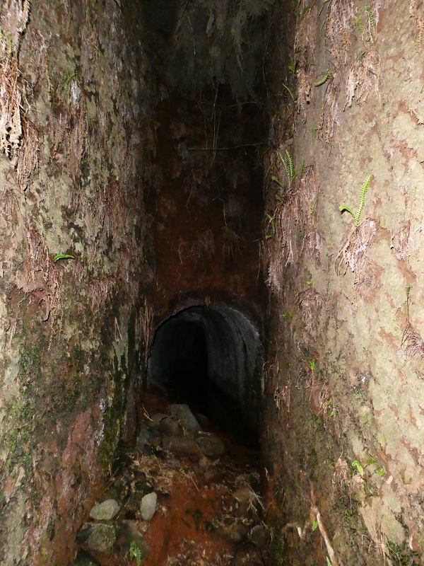 Levada do Blandy — O pequeno túnel sem saída — foto 3