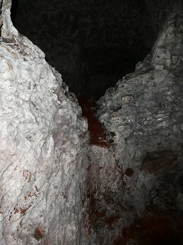 Levada do Blandy — O pequeno túnel sem saída — foto 5
