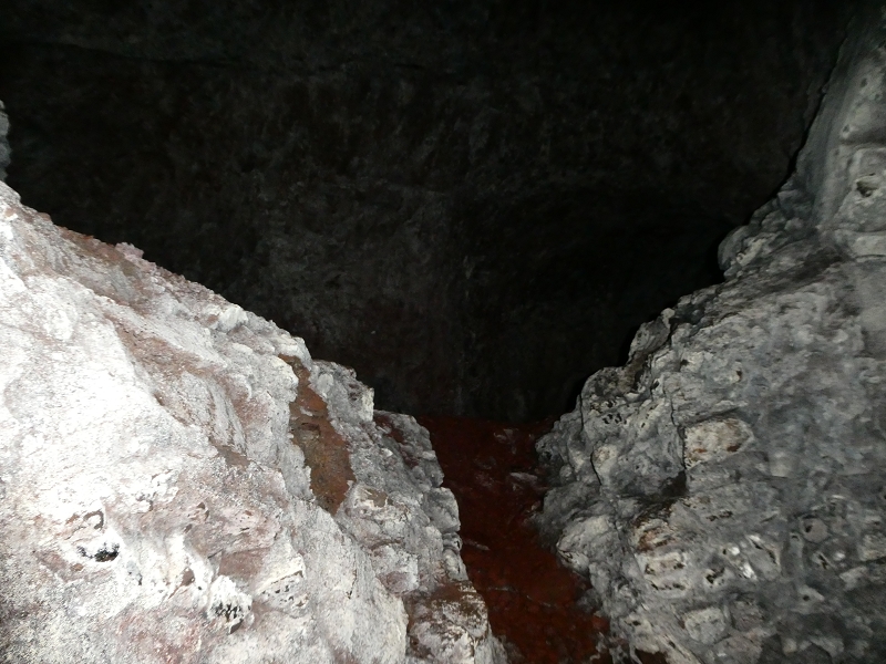 Levada do Blandy — O pequeno túnel sem saída — foto 6