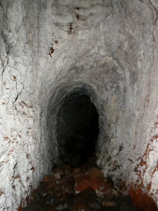 Levada do Blandy — O pequeno túnel sem saída — foto 9
