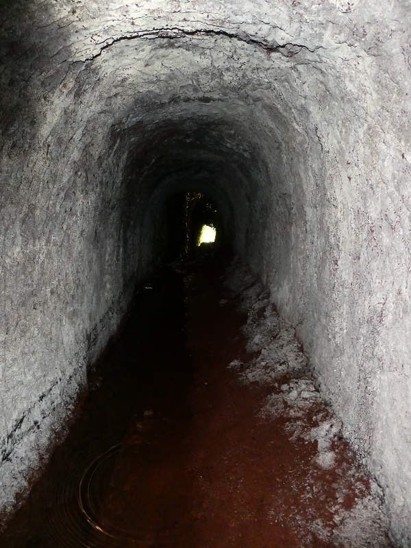 Levada do Blandy — O pequeno túnel sem saída — foto 11