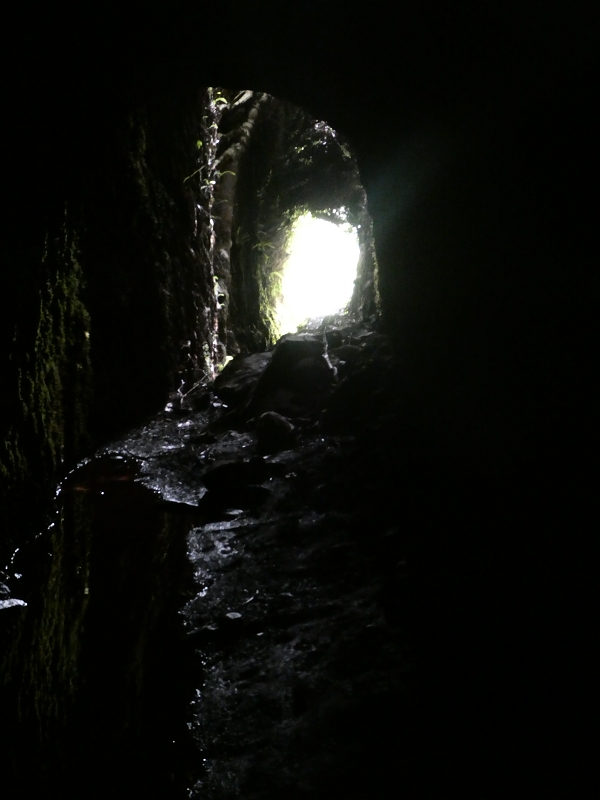 Levada do Blandy — O pequeno túnel sem saída — foto 12