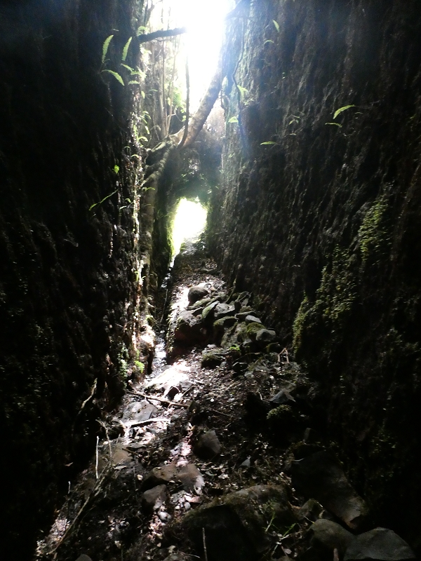 Levada do Blandy — O pequeno túnel sem saída — foto 13