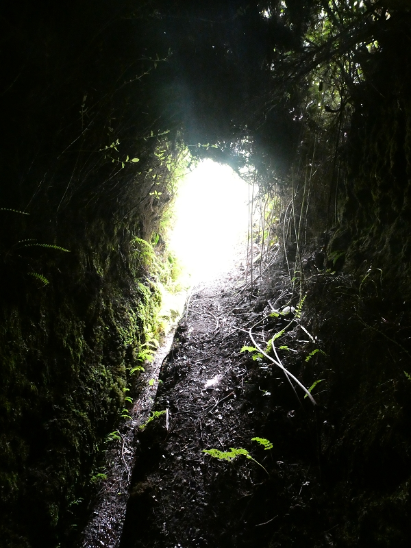 Levada do Blandy — O pequeno túnel sem saída — foto 14
