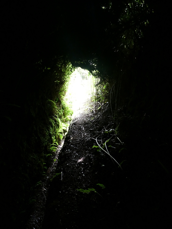 Levada do Blandy — O pequeno túnel sem saída — foto 15