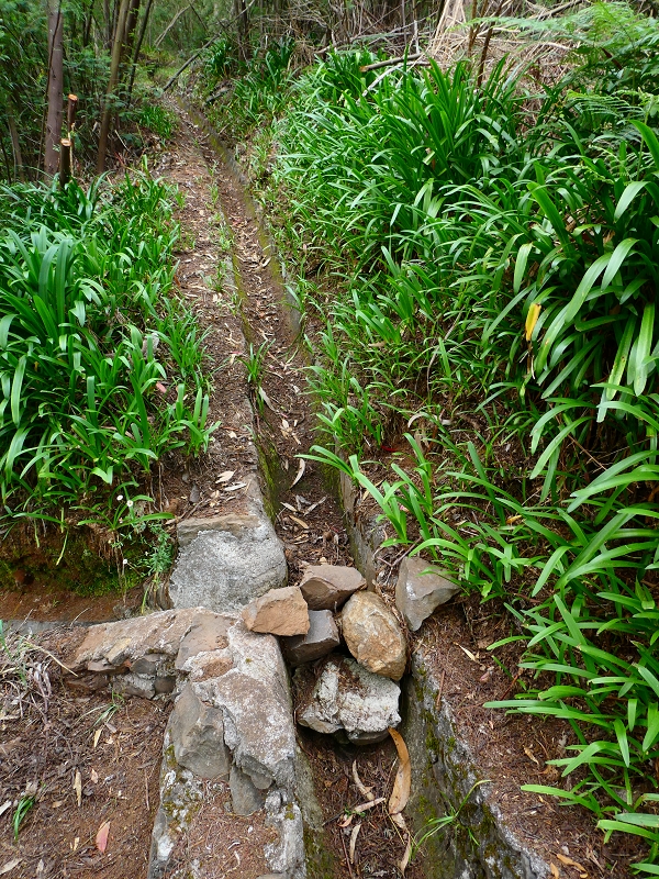 Levada do Blandy — Cruzamento com a Levada da Serra do Faial — foto 1