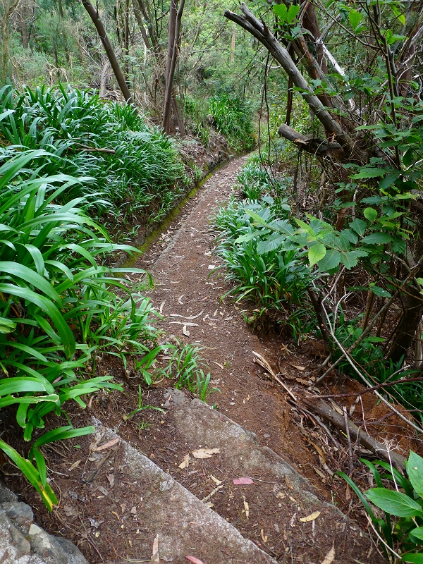 Levada do Blandy — Cruzamento com a Levada da Serra do Faial — foto 2