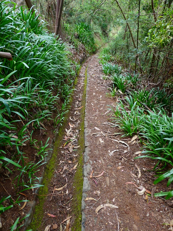 Levada do Blandy — Cruzamento com a Levada da Serra do Faial — foto 3