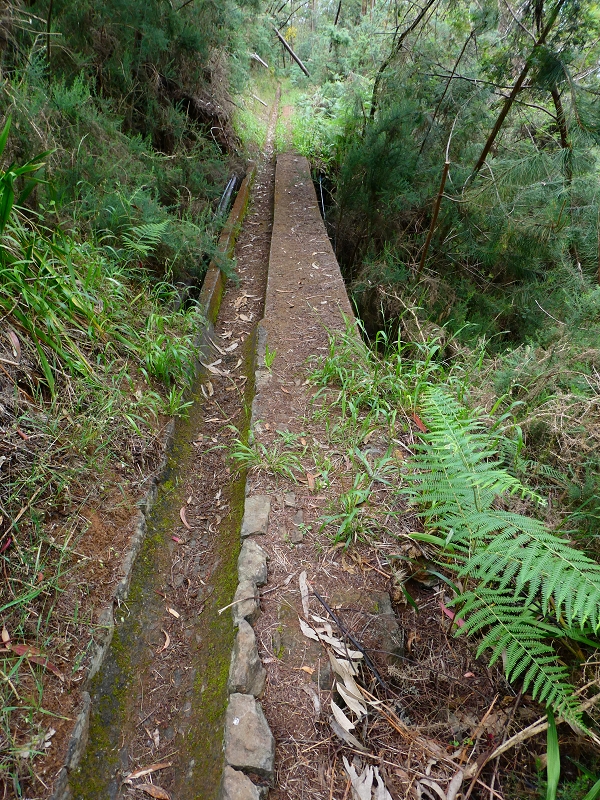 Levada do Blandy — Cruzamento com a Levada da Serra do Faial — foto 4