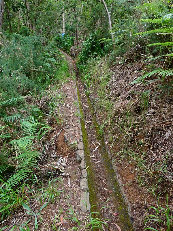 Levada do Blandy — Cruzamento com a Levada da Serra do Faial — foto 7