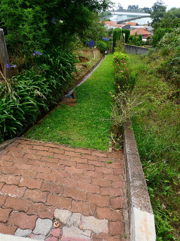 Levada do Blandy — Cruzamento com a Levada dos Tornos Süd — foto 1