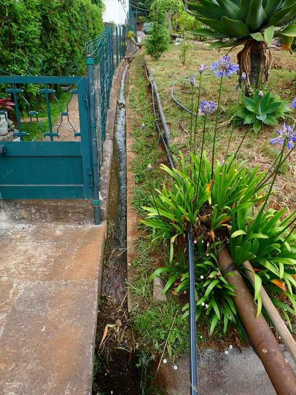 Levada do Blandy — Cruzamento com a Levada dos Tornos Süd — foto 2