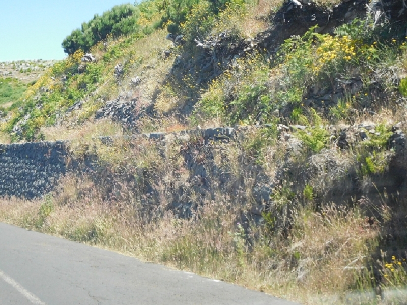 Levada do Blandy — Abaixo do Pico Areeiro, passagem da estrada — foto 8