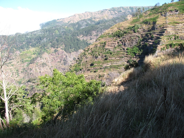 Levada do Boqueirão — Foto 11