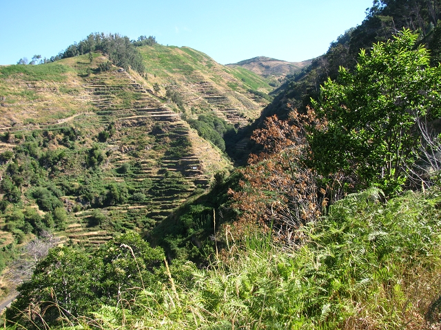 Levada do Boqueirão — Foto 12