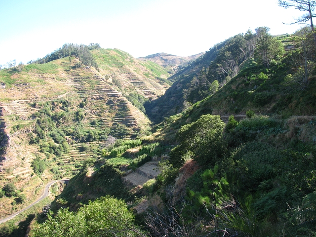 Levada do Boqueirão — Foto 15
