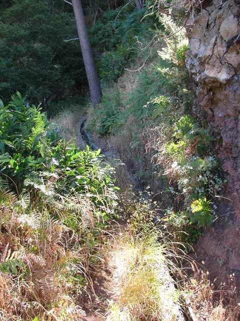 Levada do Boqueirão — Foto 6