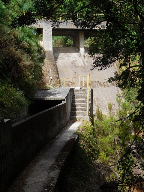 Levada Nova — Weiterverlauf bis zur Estrada Doutor Roberto Monteiro — Foto 1