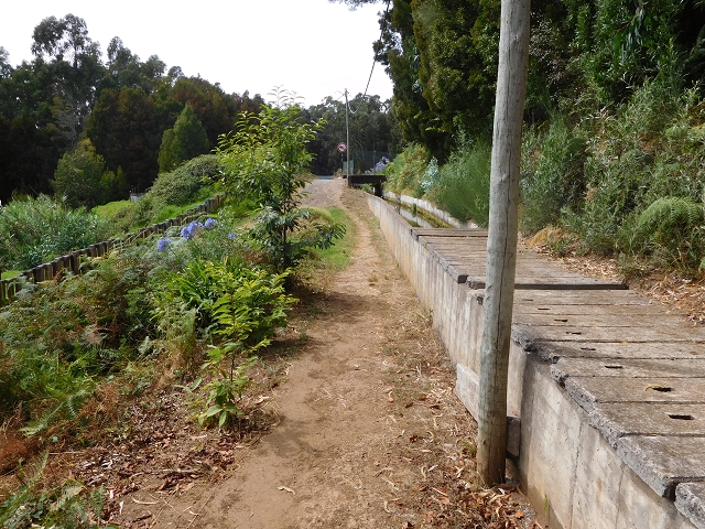 Levada Nova — Speichersee in Achado do Seixo — Foto 2