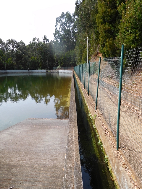Levada Nova — Speichersee in Achado do Seixo — Foto 7