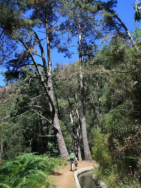 Levada Nova — Bis zur östlichen Passage der Ribeira do Raposo — Foto 1
