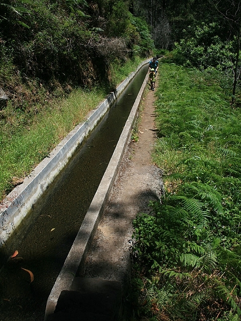 Levada Nova — Zum Ende der grossen Schluchtpassage — Foto 8