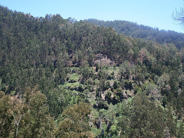Levada Nova — Zum Ende der grossen Schluchtpassage — Foto 9