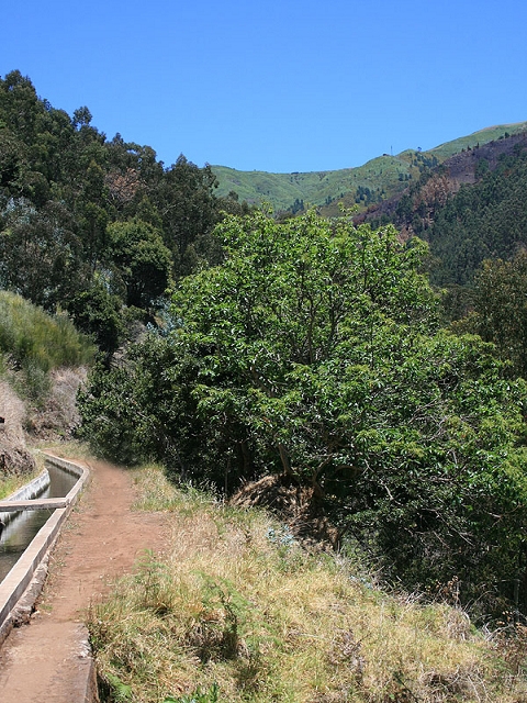 Levada Nova — Zum Ende der grossen Schluchtpassage — Foto 10
