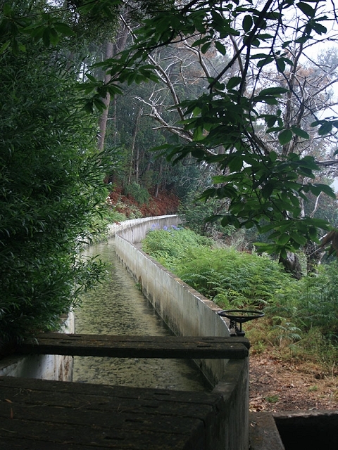 Levada Nova — Weiter bis zur Strassenkreuzung — Foto 6