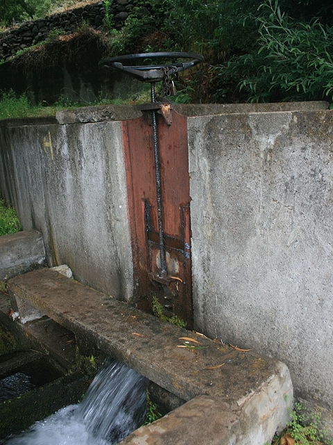 Levada Nova — Weiter bis zur Strassenkreuzung — Foto 7