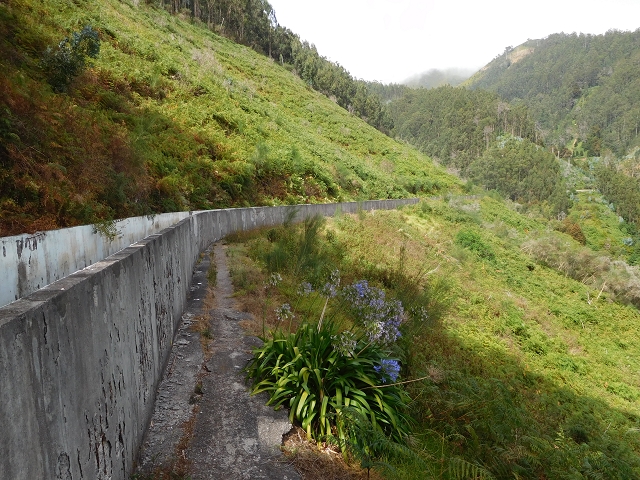 Levada Nova — Weiterverlauf bis zur Estrada Doutor Roberto Monteiro — Foto 8