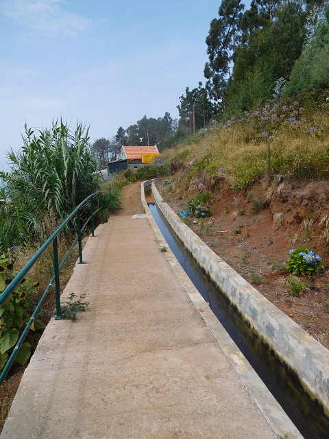 Levada Nova — Covas — photo 1