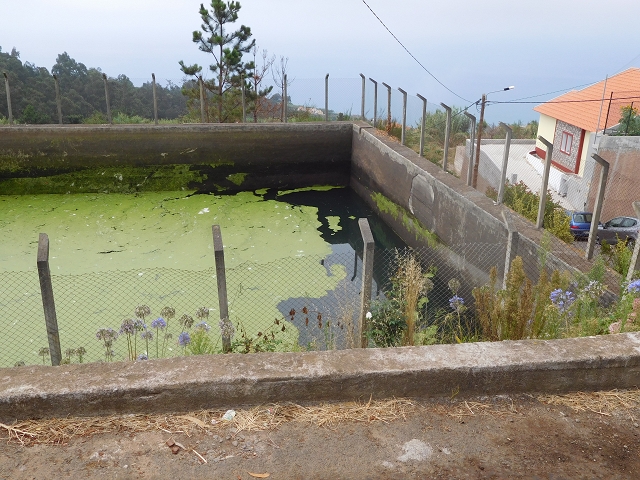 Levada Nova — Covas — photo 3