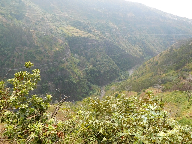 Levada Nova — From Covas to the end (newly built section) — photo 4