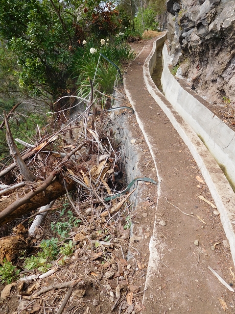 Levada Nova — From Covas to the end (newly built section) — photo 6