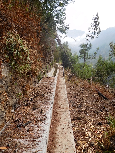 Levada Nova — From Covas to the end (newly built section) — photo 7