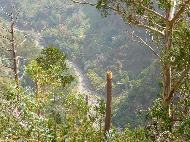 Levada Nova — From Covas to the end (newly built section) — photo 12