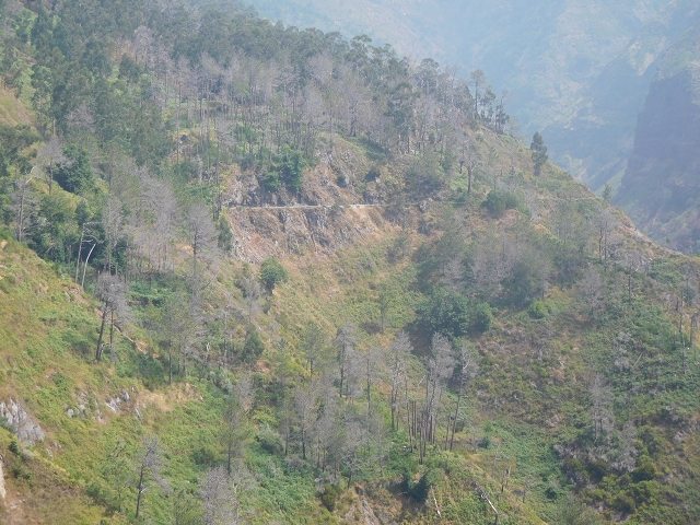 Levada Nova — From Covas to the end (newly built section) — photo 14