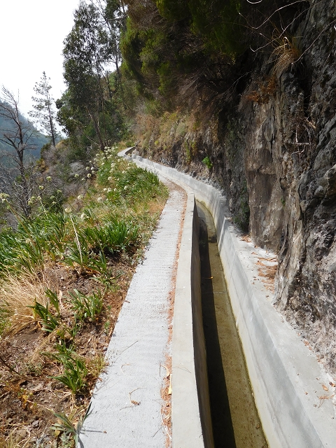 Levada Nova — From Covas to the end (newly built section) — photo 27