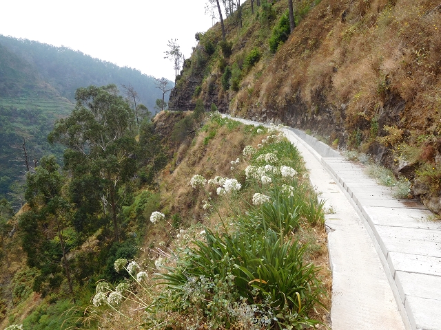 Levada Nova — From Covas to the end (newly built section) — photo 32