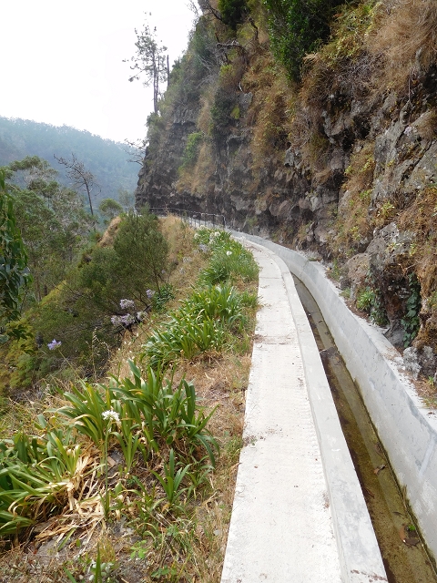 Levada Nova — From Covas to the end (newly built section) — photo 33