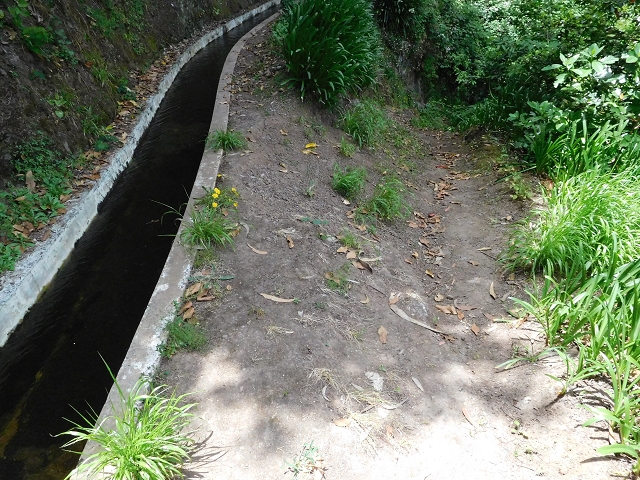 Levada Nova — First crossing of the Ribeira da Madalena — photo 1